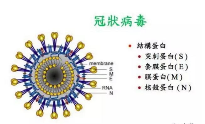 接触角测量仪与口罩的关系 1.JPG